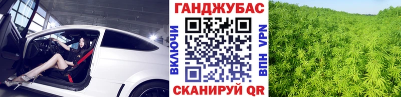 Марихуана семена  купить наркотик  Волхов 